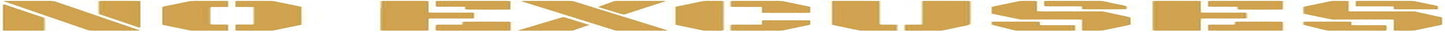 Fairwinds Design - No Excuses 4’ Long Gym Wall Vinyl Decal - Inspirational Workout Wall Quote for Gym and Fitness Center (Gold)